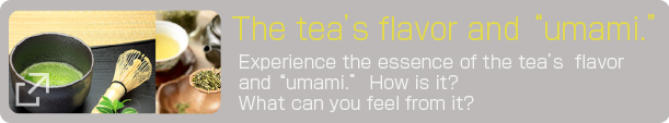 The tea’s flavor and “umami.” 
